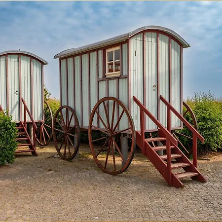 Bansin Seepferdchen 2 *