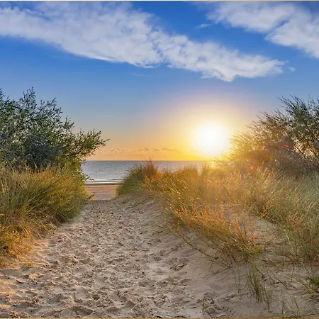 Bansin Seepferdchen 2