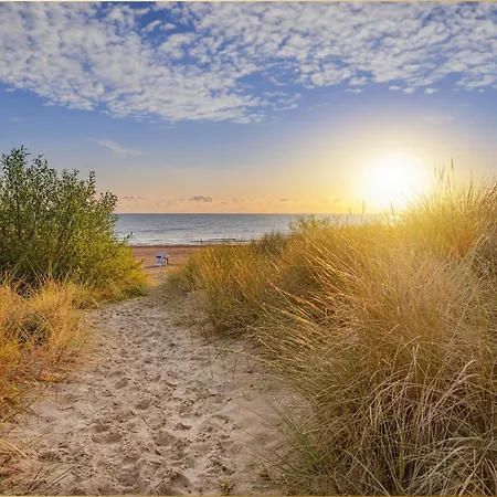 Bansin Seepferdchen 2 Heringsdorf (Usedom)