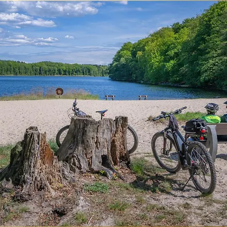 Bansin Seepferdchen 2 Heringsdorf (Usedom)